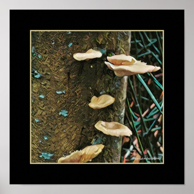 Tree Fungus Poster (Front)