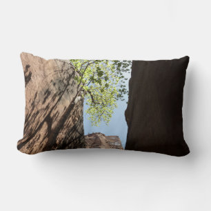 Tree Growing Between Rocks at Zion National Park Lumbar Cushion