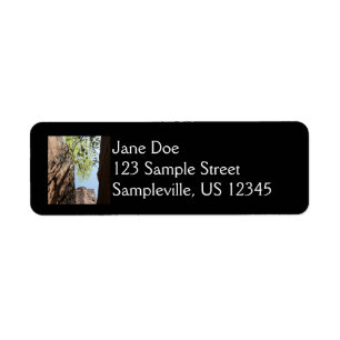Tree Growing Between Rocks at Zion National Park Return Address Label
