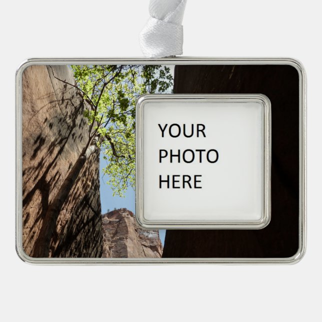 Tree Growing Between Rocks at Zion National Park Silver Plated Framed Ornament (Front)