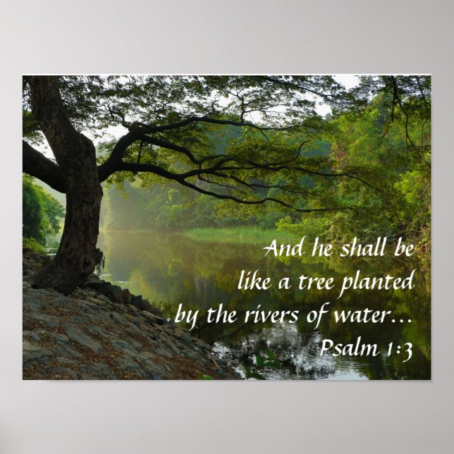 Tree Growing Near Water, Psalm 1:3, Scripture Poster (Front)
