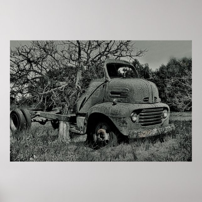 tree growing through old truck in black and white, poster (Front)