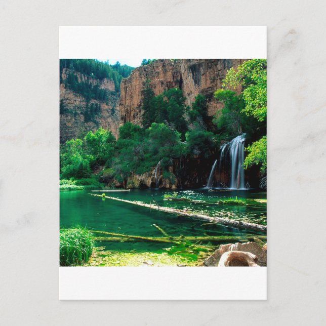 Tree Hanging Lake Glenwood Canyon Colorado Postcard (Front)