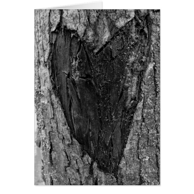 Tree Heart Carving (Front)