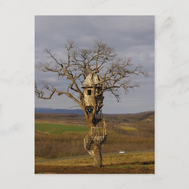 Tree House Postcard (Front)