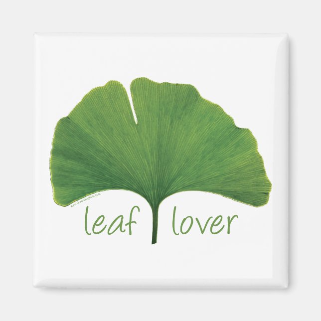 Tree Hugger, Leaf Lover - Ginkgo Magnet (Front)