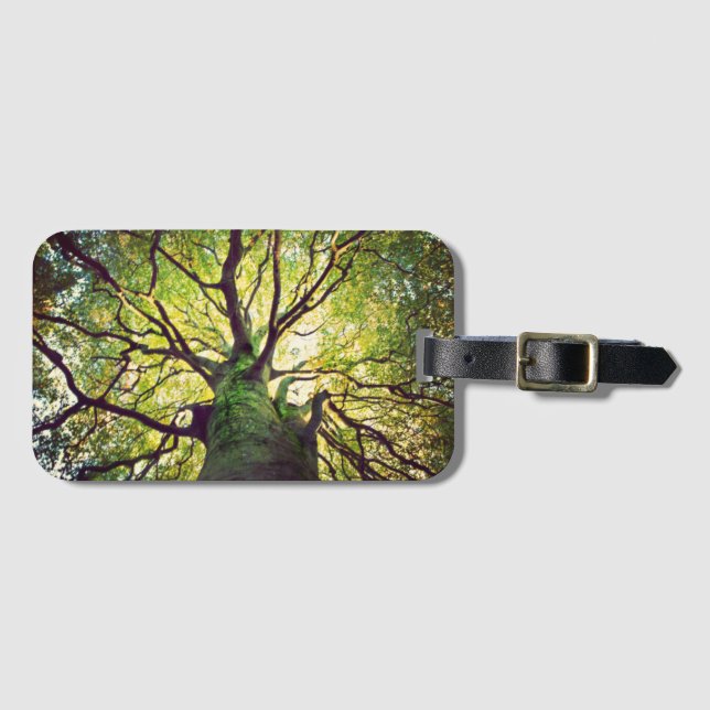 Tree Hugging Luggage Tag (Front Horizontal)