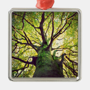 Tree Hugging Metal Ornament