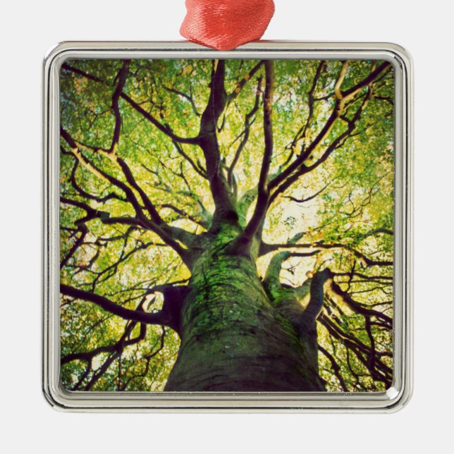 Tree Hugging Metal Ornament (Front)