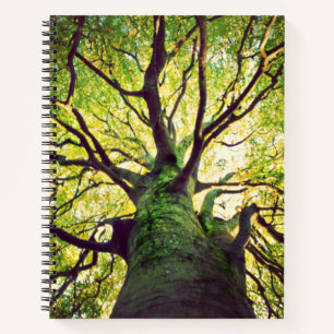 Tree Hugging Notebook
