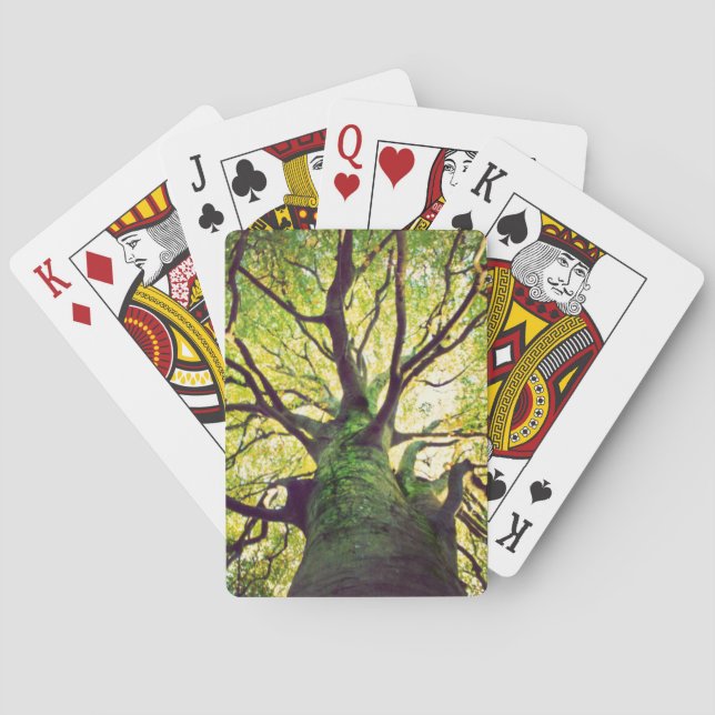 Tree Hugging Playing Cards (Back)