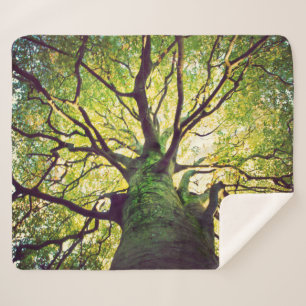 Tree Hugging Sherpa Blanket