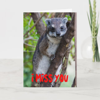 Tree Hyrax, I MISS YOU Card