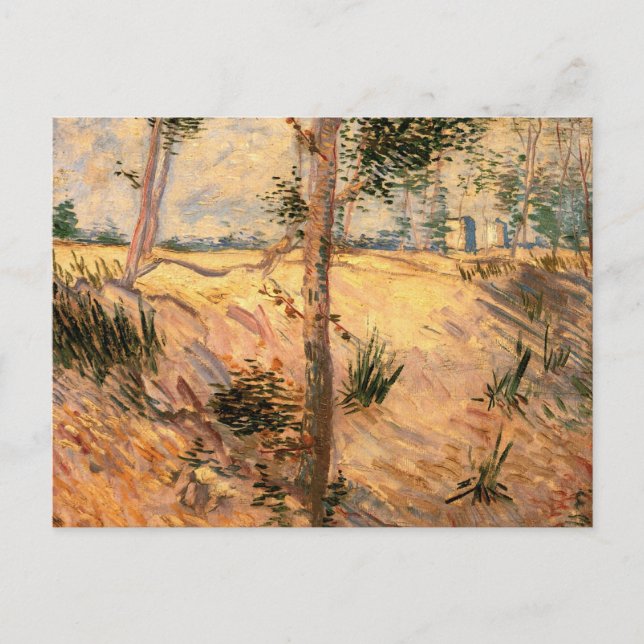 Tree in a Field on a Sunny Day by Vincent van Gogh Postcard (Front)