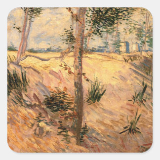 Tree in a Field on a Sunny Day by Vincent van Gogh Square Sticker