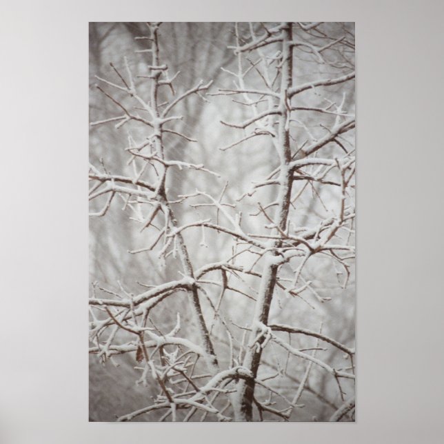Tree in  a Snowstorm Poster (Front)