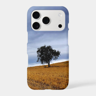 Tree in a wheat field