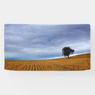 Tree in a wheat field banner