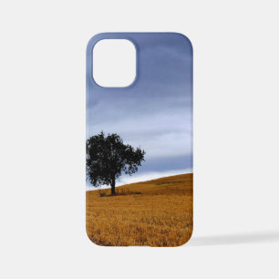 Tree in a wheat field iPhone 12 mini case