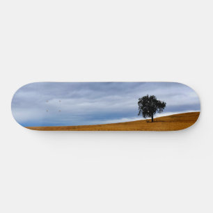 Tree in a wheat field skateboard
