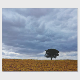 Tree in an empty field wrapping paper