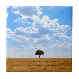 Tree in an harvested wheat field ceramic tile