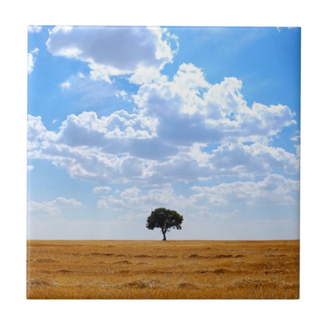 Tree in an harvested wheat field  ceramic tile (Front)