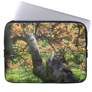 Tree in Autumn Photography Laptop Sleeve