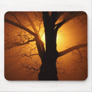 Tree In Fog At Night Mousepad