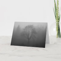 tree in fog
