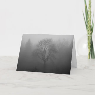 tree in fog card