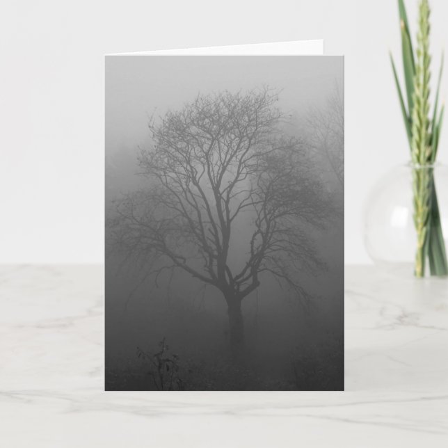 tree in fog card (Front)