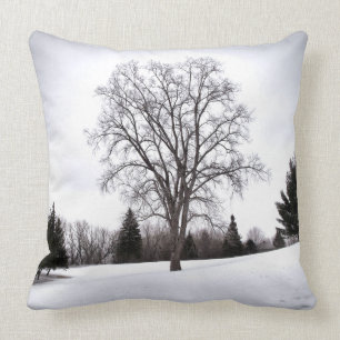 Tree in Landscape Early Spring Snow Cushion
