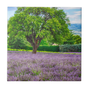 Tree in Lavender Field, France Tile