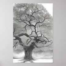 Tree in Shades of Grey
