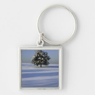 Tree in snow covered landscape key ring