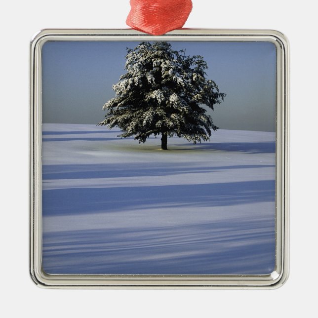 Tree in snow covered landscape metal ornament (Front)