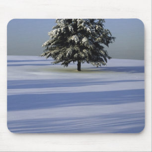 Tree in snow covered landscape mouse pad