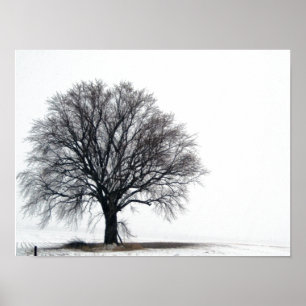 tree in snow poster