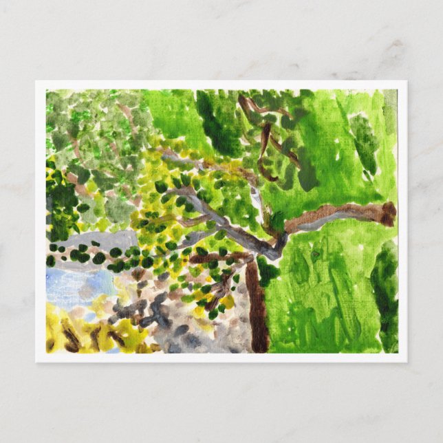 Tree in springtime postcard (Front)