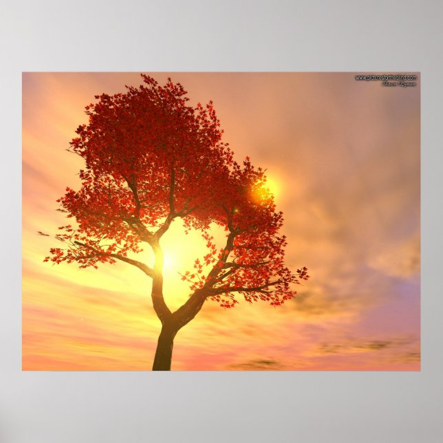 Tree In Sunset Poster (Front)