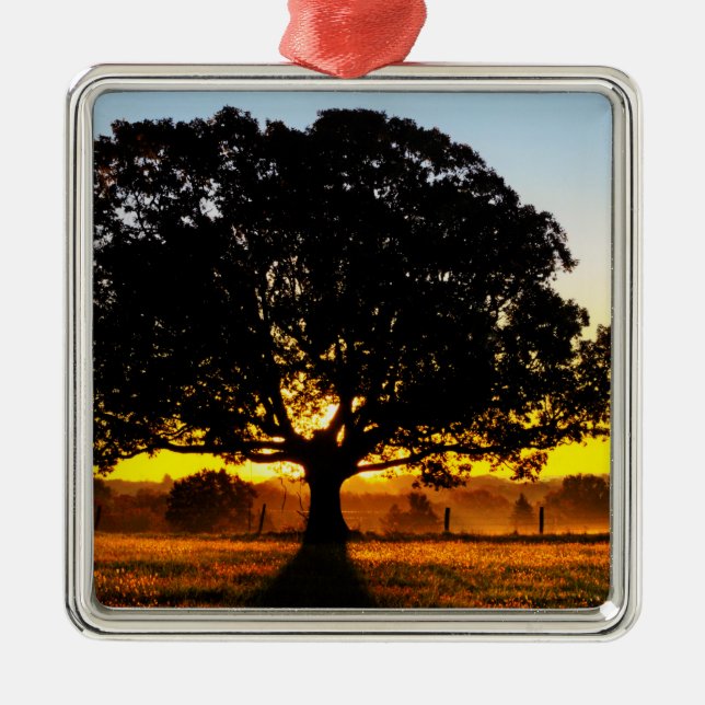 Tree in the Morning Metal Tree Decoration (Front)