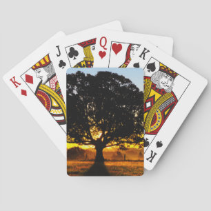 Tree in the Morning Playing Cards