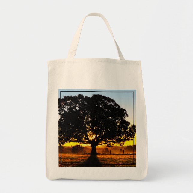 Tree in the Morning Tote Bag (Front)