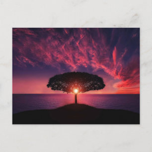 Tree in the sunset postcard