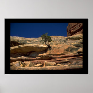 Tree in the wall poster