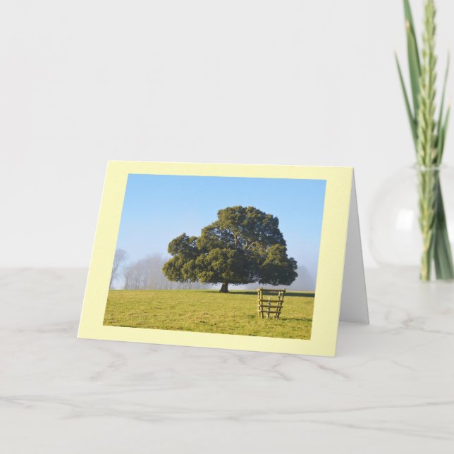Tree in the winter sun holiday card (Front)