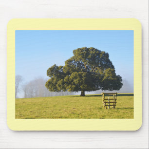 Tree in the winter sun mouse pad