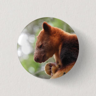 Tree Kangaroo Badge