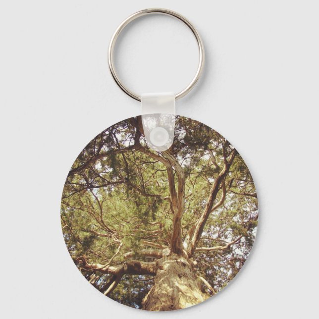 Tree Key Ring (Front)
